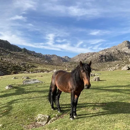 Casa Belavista No Geres By In'canto Management Casa vacanze Ponte da Barca