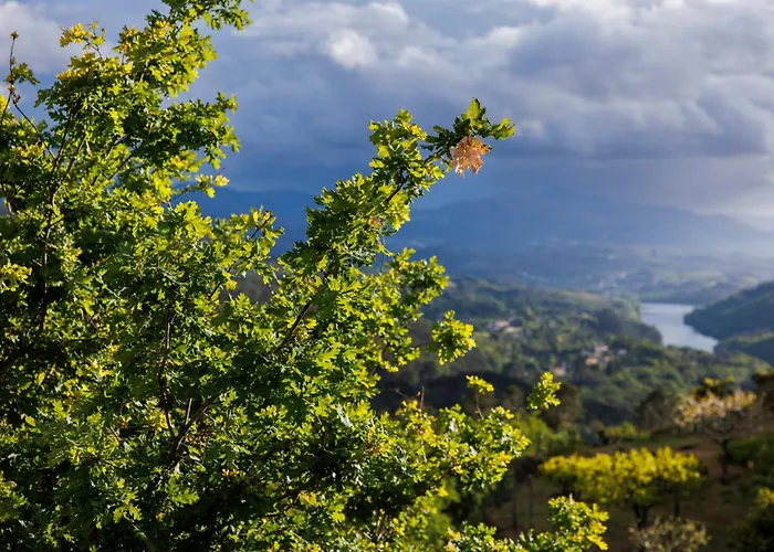 Casa Belavista No Geres By In'canto Management 펜션 폰테다바카