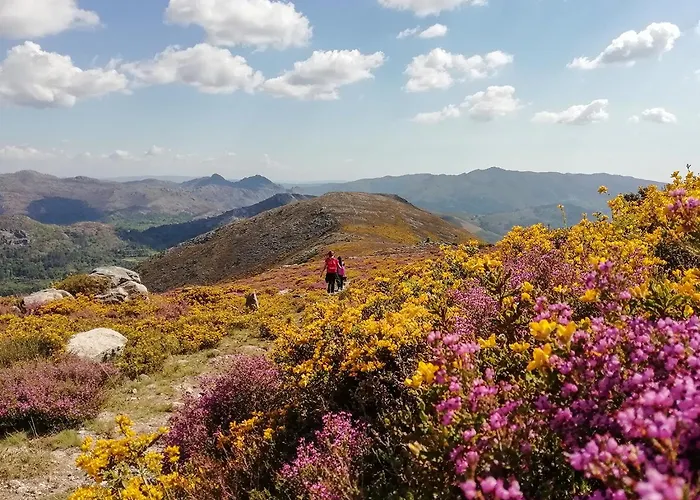 펜션 Casa Belavista No Geres By In'canto Management *