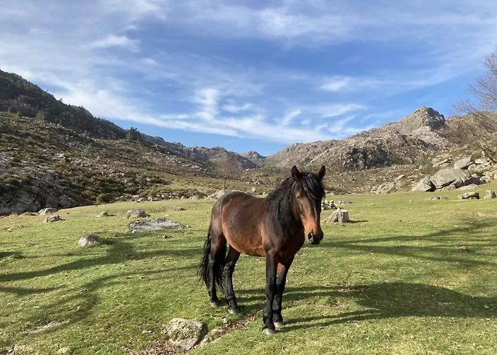 Casa Belavista No Geres By In'canto Management Casa de Férias Ponte da Barca